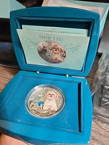 私の小さな子犬の銀貨