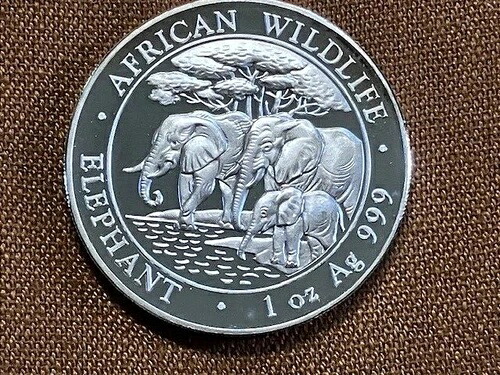 2 - 2013年ソマリア1オンスアフリカ野生動物象.999銀貨 -