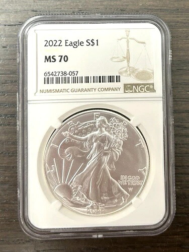 2022 イーグル S $1 - シルバーイーグル NGC MS70 ブラウンラベル #6542738-057
