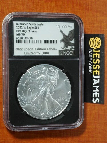 2022 W バーニッシュド シルバー イーグル NGC MS70 発行初日 FDI 1G シルバーラベル｜WORLD RESOURCE【QUEEN店】