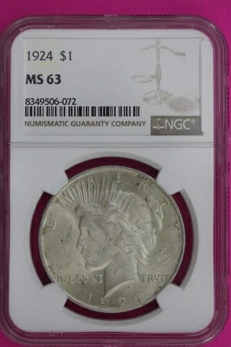 1924年 P MS 63 リバティピースシルバードル NGC認定グレード本物 1124