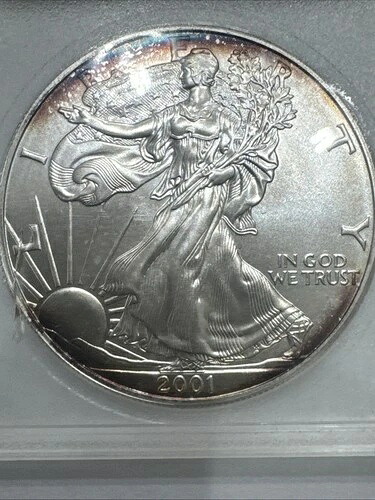 2001年 1オンス シルバー アメリカンイーグル（ブリリアント アンサーキュレート） 44,330円