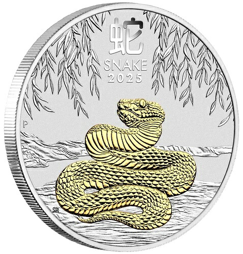 2025年 オーストラリア 蛇年 金箔押し 1オンス 1ドル銀貨 OGP/BOX付き 金箔押し｜WORLD RESOURCE【QUEEN店】