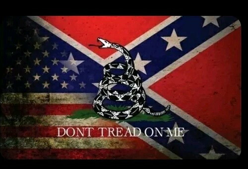カラー化された「DONT TREAD ON ME」旗 1オンス .999 ファインシルバーアートバー #5 / 100 L/E COA