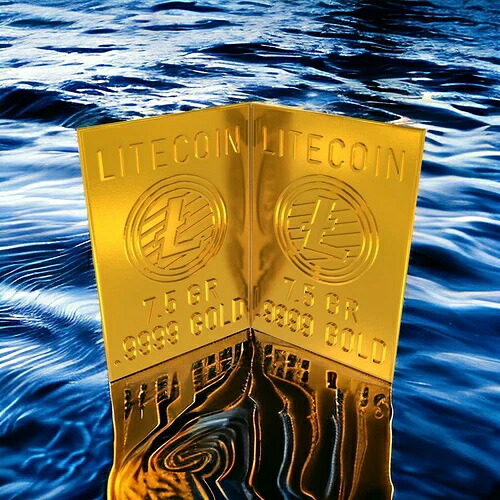 ライトコイン 1 GR ゴールドスナップバー 2本入り .9999 純金 NFC T