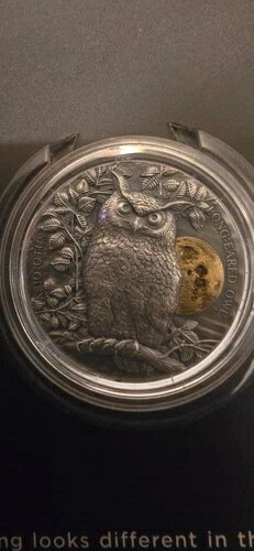 2021年ガーナ トラフズク 銀貨 月明かりの中の野生動物 1/2トロイオンス