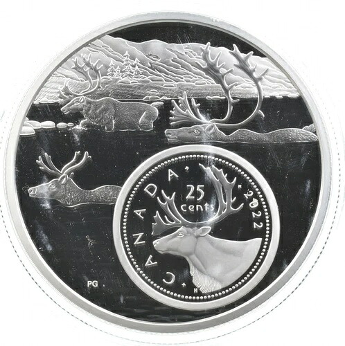 2022年カナダ 25セント銀貨 ビッグピクチャーシリーズ カリブー *5228｜WORLD RESOURCE【QUEEN店】