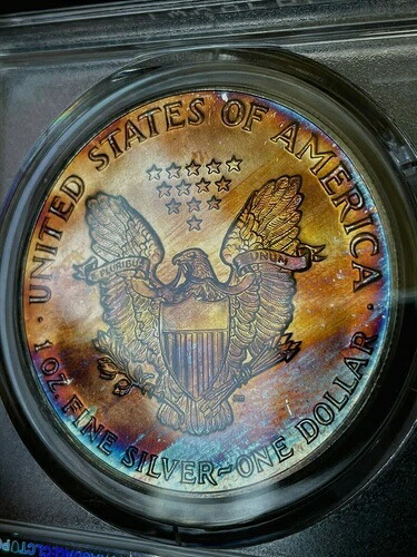 1988 アメリカン イーグル $1 PCGS MS67 ~キラーな自然な色合いのシルバー イーグル!!~