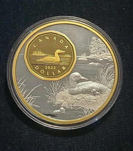 2022年 5オンス ファインシルバーコイン .9999 ザ・ビガー・ピクチャー $1 - コインのみ ザ・ルーン