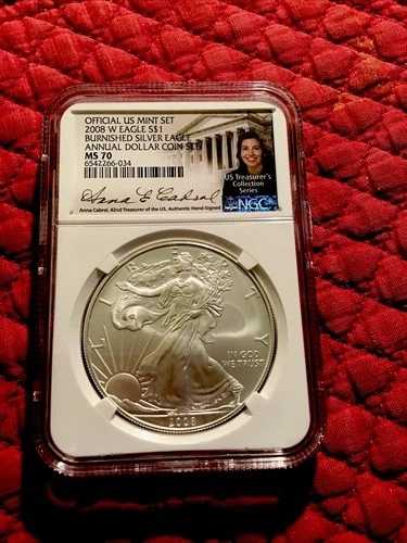 2008年 W バーニッシュド シルバー イーグル NGC MS70 年次ドルコインセット アンナ・カブラル サイン入り