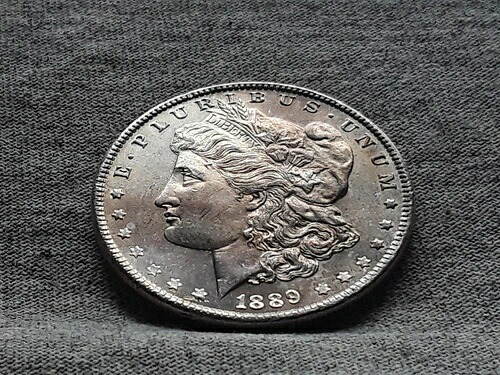 1889年 モルガン銀貨 両面トーニング 42,900円