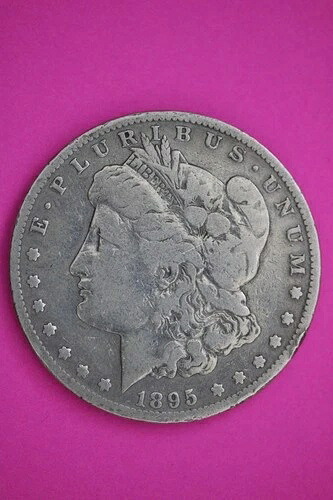 1895年 S モーガン シルバードルコイン 本物保証 アメリカンセラー 2513｜WORLD RESOURCE【QUEEN店】