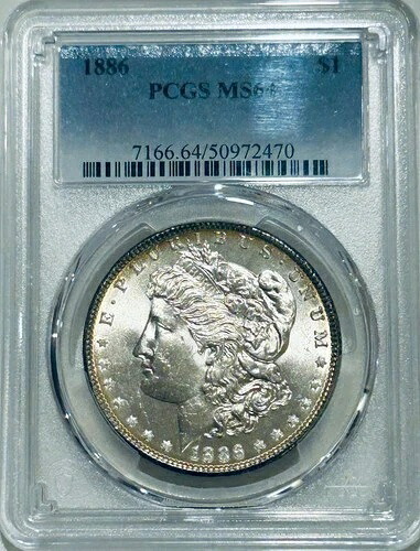 1886年 P モルガン銀貨 PCGS MS64 ライトリムトーニング｜WORLD RESOURCE【QUEEN店】