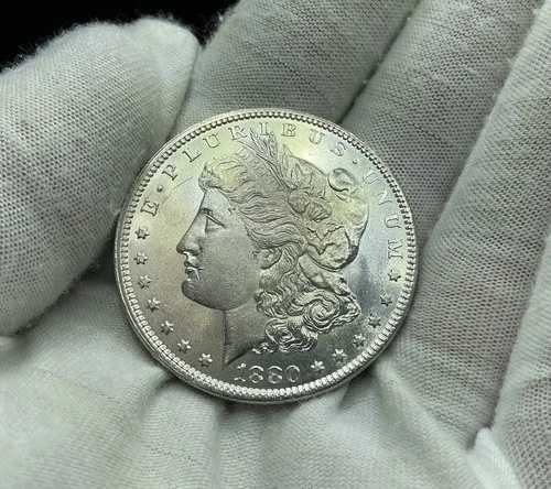 1880年 P モルガン銀貨 フロスティチョイス BU 半反射 M255