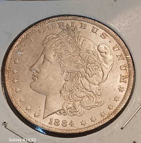 1884年 モーガン銀貨（流通品、未鑑定）