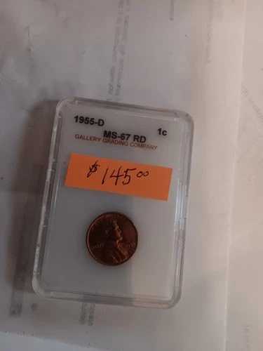 1955年 Dミント ウィートペニー 42,900円