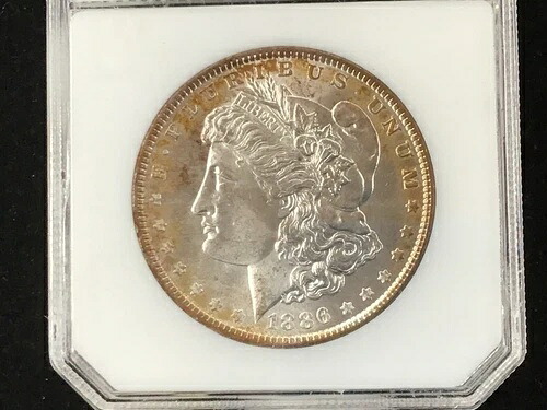 1886年 モーガン シルバードル ブリリアント 未流通 B0518- 37,895円