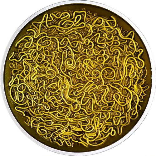カメルーン 2025 インスタントラーメン 0.999 コイン 2オンス カラー 222枚 ロット #A018｜WORLD RESOURCE【QUEEN店】