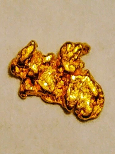ALLUVIAL??&??アラスカナチュラルゴールドナゲット.61gハイグレードベーリングシー??アクアティック??-