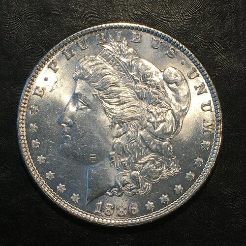 1886年モルガン銀貨 - 実物大のコインを表示 - 高画質スキャン #N332