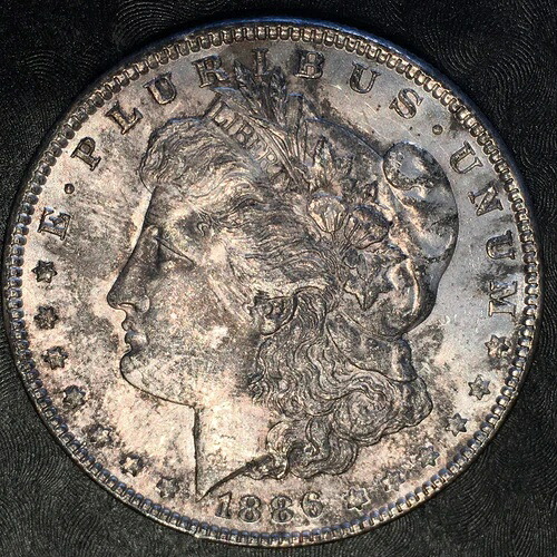 1886年モルガン銀貨 - トーン付き未流通品 - 高品質スキャン #E145