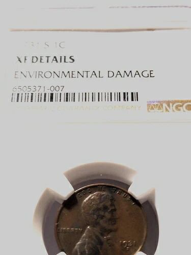 1931-S 小麦セント NGC XF 環境被害の詳細