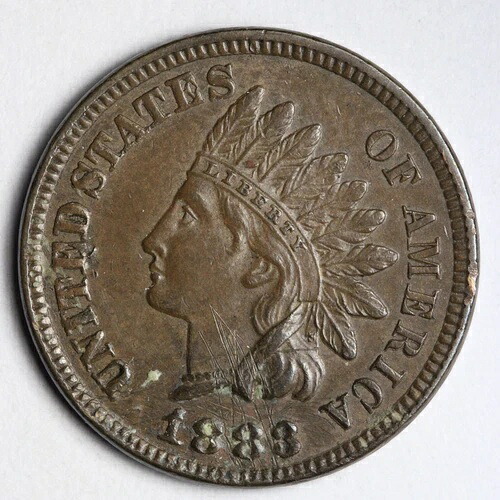 1883年 インディアンヘッド セントペニー BU ディテール *未流通* MS E135 JNM-