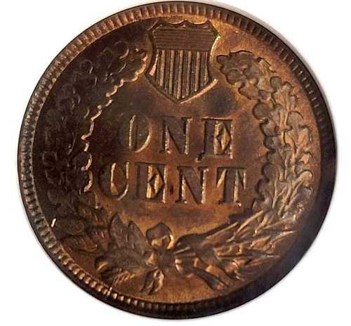 1899年インディアンヘッド 1セントペニー PCGS MS64 RB レッドブラウン