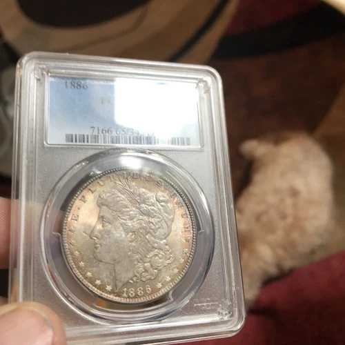1886年 1ドル PCGS MS65。美しいトナー、金、オレンジ、ローズカラーがコインに豊富に散りばめられています。