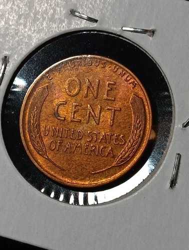 ??1931-D セミキー レッドブラウン *