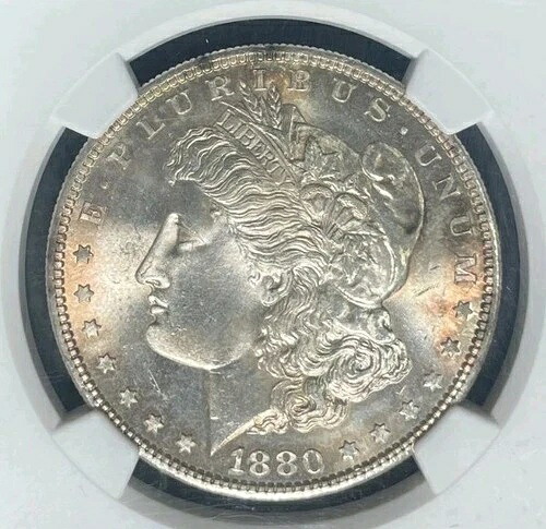 1880年代 モーガン シルバードル ~ NGC MS 66 ~美しいコイン~ REF#27-005