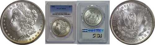1882年 モルガン・ダラー PCGS MS-65｜WORLD RESOURCE【QUEEN店】