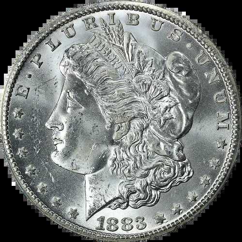 1883年製 モルガン銀貨 PCGS MS64 ブラストホワイト 素晴らしい外観｜WORLD RESOURCE【QUEEN店】