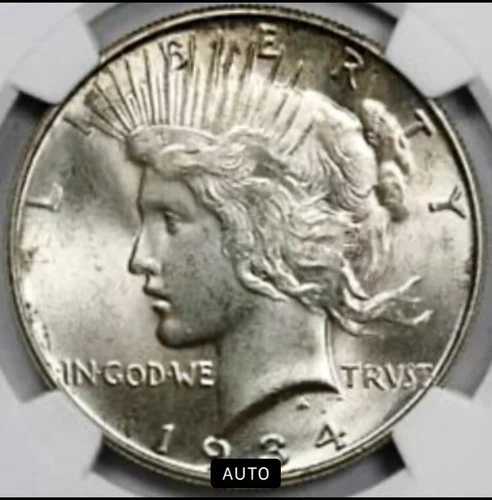1934年 ピースドル ソリッド グレートルック NGC MS64 103,455円