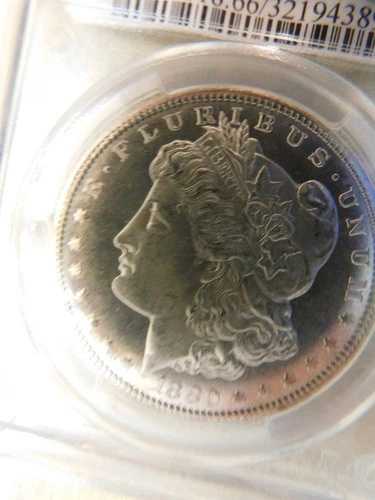1880年 S モーガン銀貨 PCGS MS-66 - 美品コイン、ナイス＆フロスティ、値下げ｜WORLD RESOURCE【QUEEN店】