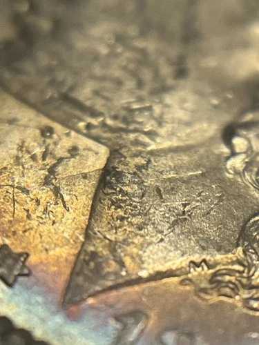 1880年 Vam 25 C (衝突& ust) MS61 PCGS 良好な色調「ヒットリスト」｜WORLD RESOURCE【QUEEN店】