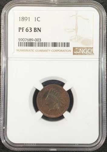 1891年 インディアンヘッド セントプルーフ NGC PF63 BN 5907689-003 希少コイン