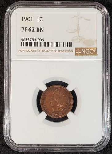 1901年 インディアンヘッド セントプルーフ NGC PF62 BN 4632756-006 希少コイン