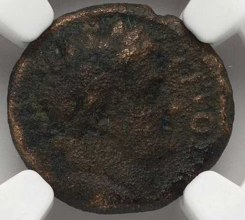 タイタス 79-81 AD AE 16 ブロンズ デカポリス ガダラ SC コイン ローマ帝国、NGC Ch F