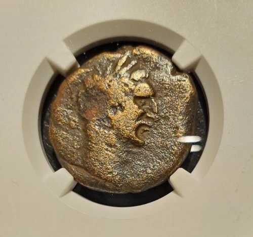 NGC 認証 ネルヴァ シリア、アンティオキア 西暦 96-98 年 ?27