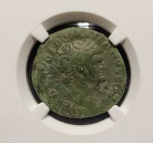 81-96年 ローマ帝国 AE ドミティアヌス NGC認証 F 58,080円