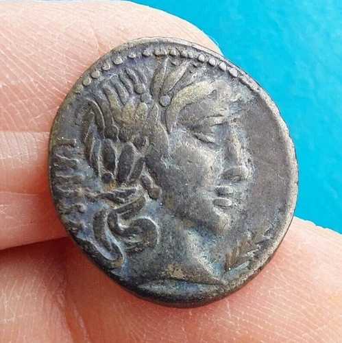 ローマ共和国ビビア ビビウス パンサ、お金-