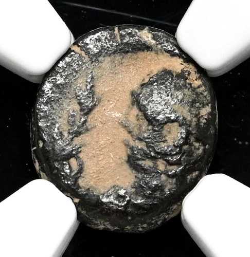 ヴァンダル族。カルタゴの市貨幣。480-533年。? 4 Nummi、NGC Fine
