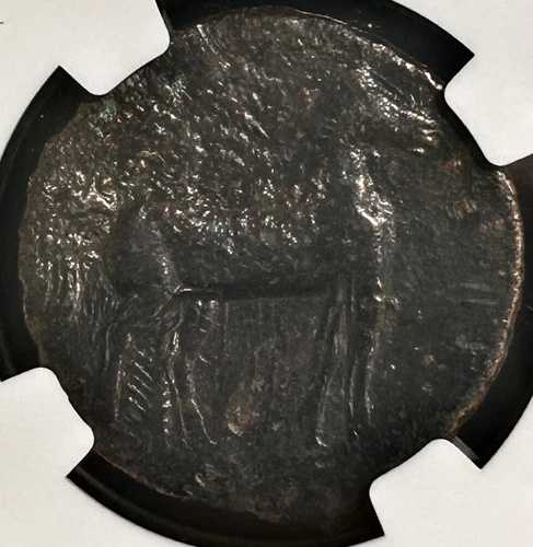 ゼウギタナ カルタゴ AE トリシェケル (?) 紀元前 221 ～ 210 年 ハンニバルの時代 NGC F