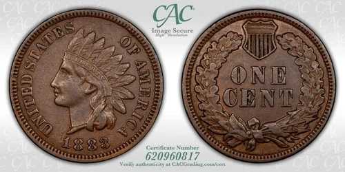 1883年インディアンヘッドセント1セント - CAC XF45 - レア+ スノー-7 S-7 FS-302 数字入りパール｜WORLD RESOURCE【QUEEN店】