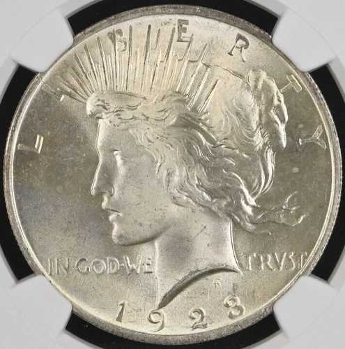 1923-P 1ドル ピースダラー NGC MS66 -- 優れたブラストホワイトの光沢のある宝石|WORLD RESOURCE【QUEEN店】