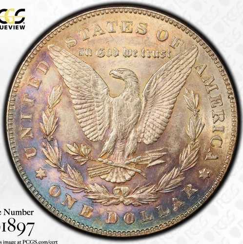 1878年製 モルガン銀貨 1ドル 7TF 尾羽根 PCGS AU 53 裏面 1878年製
