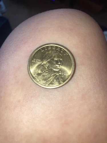 USA Sacagawea $1 ドル 2000 P エラー コイン