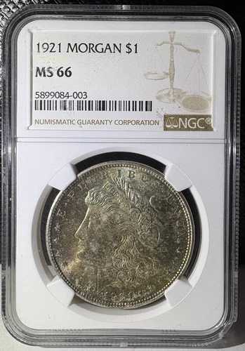 1921年 トーン加工 モルガン銀貨 NGC MS 66 (003)