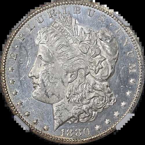 1880年製 モルガン銀貨 NGC MS61 PL ブラストホワイト 素晴らしい外観|WORLD RESOURCE【QUEEN店】